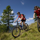 Illustration for article titled Anyone Mountain Bike?